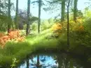 Woodland Waterfalls - thumbnail photo 18