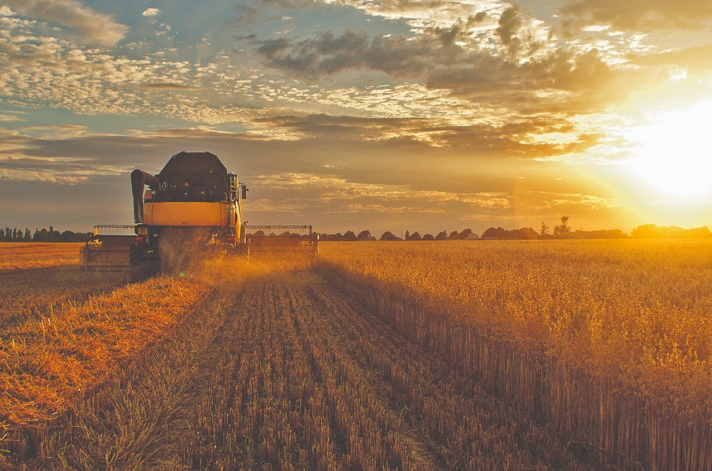 Elms working farm, Lincolnshire