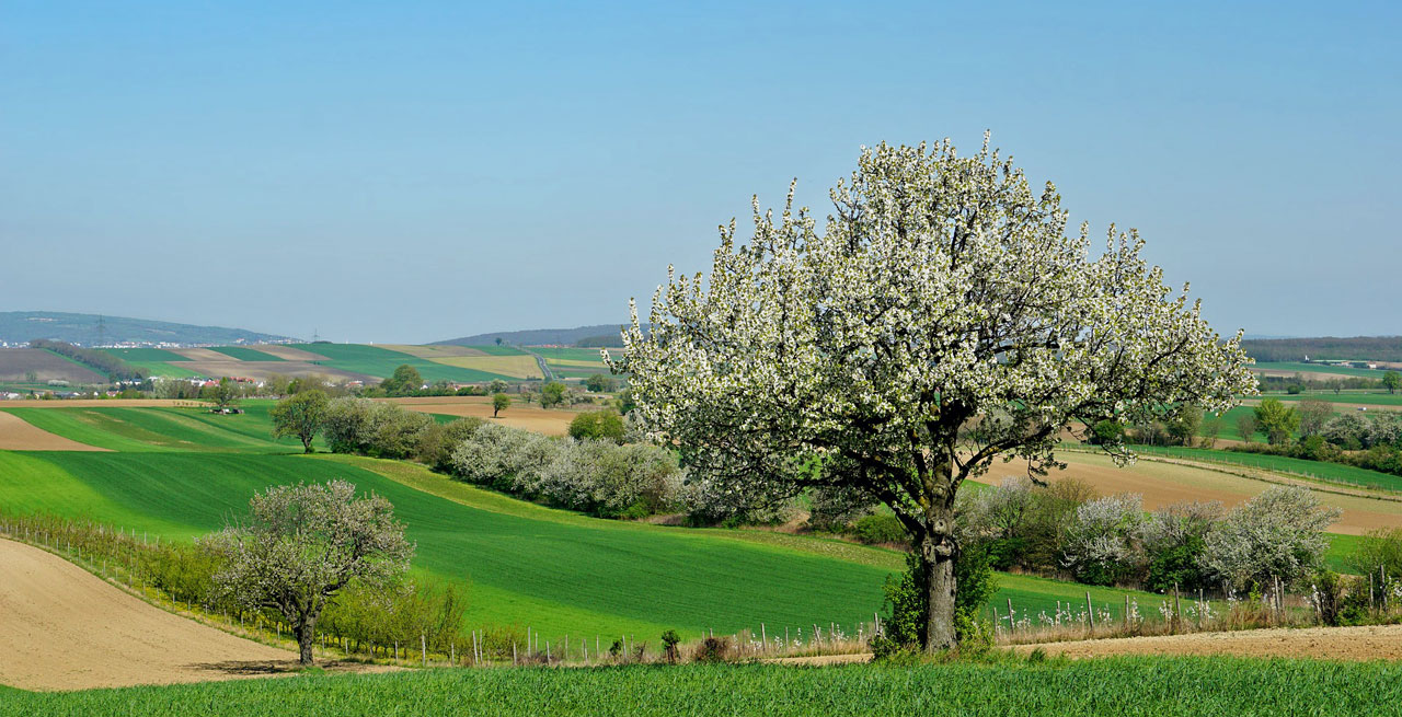 Holiday Cottages For The May Bank Holiday Cottages For The May